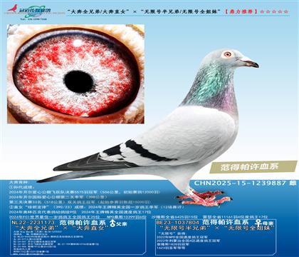 ȫֵ/ֱŮ޺Űֵ/޺ȫá