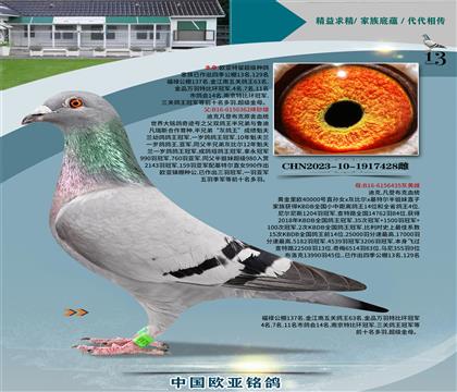 Ͽ˷ǲԭ漣362X40000435