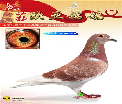 Ͽ.ǲѪͳض295Xضֱ394