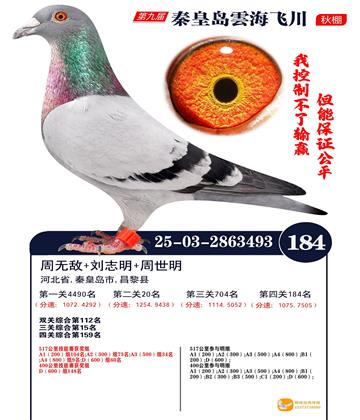 雲海飞川决赛184名