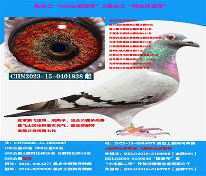 (山区地形 吃苦耐劳)桑杰士“双冠军”作出