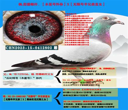 范德帕许“丘比特号外孙”X“无限号半兄弟直女”