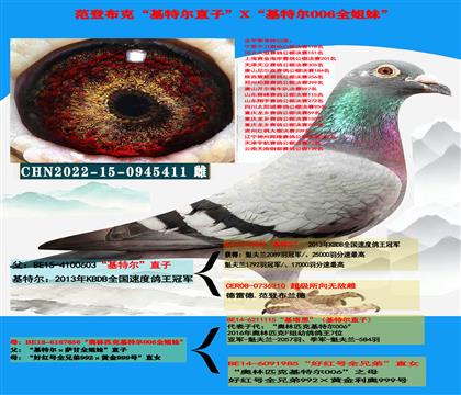 迪克·范登布克“基特尔”直子X“基特尔006