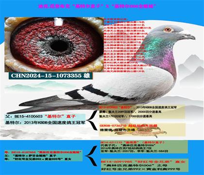 迪克 范登布克“基特尔”直子X“基特尔006