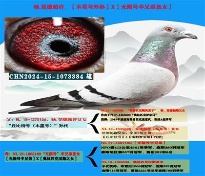 范德帕许“丘比特号外孙”X“无限号半兄弟直女”