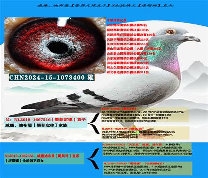 威廉迪布恩“墨菲定律”直子X“天王星”直女