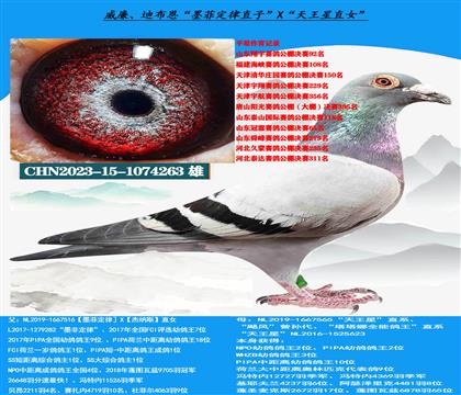 威廉迪布恩“墨菲定律”直子X“天王星”直女