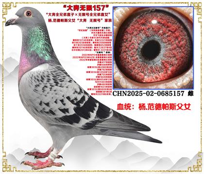 (�ص��Ƽ�����.������˹����ȫ�ֵ�ֱ�ӡ����޺�ȫ�ֵ�ֱŮ��