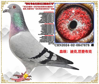 Ͽ.ǲˡұȶֱúȫֵ992ֱŮ