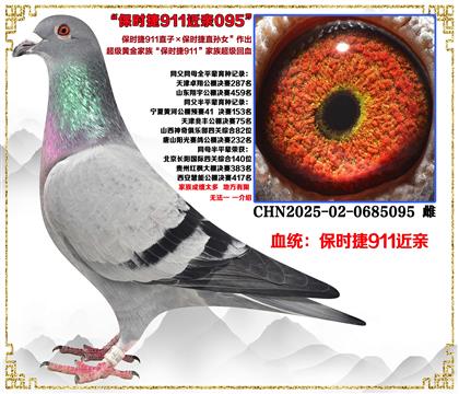 (صƼʱ911ֱXʱ911ֱŮ