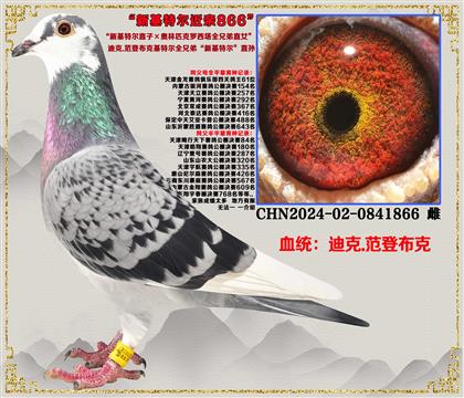 صƼ»ضֱӡƥȫֱֵŮ