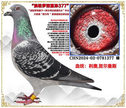 صƼ¡ֱӡŷԪŽֱŮѪ