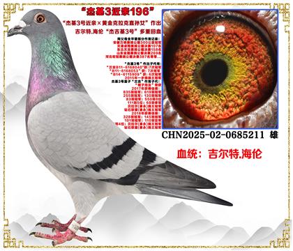 ������.���ס��ܻ�3�Ž��ס��ƽ������ֱ��Ů������