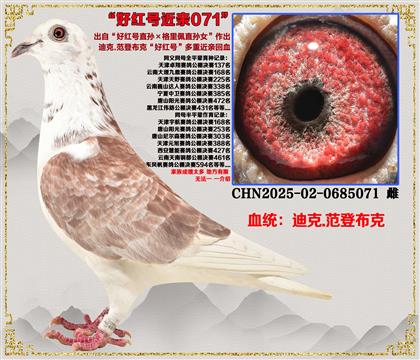 �Ͽ�.���ǲ��ˡ��ú��ֱ���������ֱ��Ů������