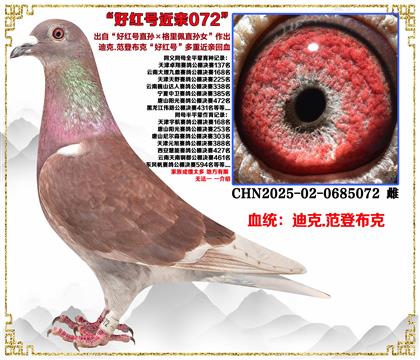 �Ͽ�.���ǲ��ˡ��ú��ֱ���������ֱ��Ů������