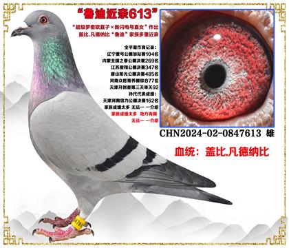 �Ǳȡ���������ŷֱ��X������ֱŮ������