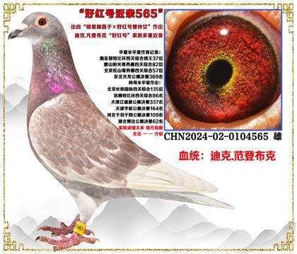 �Ͽ�.���ǲ��ˡ�������ֱ��X�ú������Ů�����ؽ���