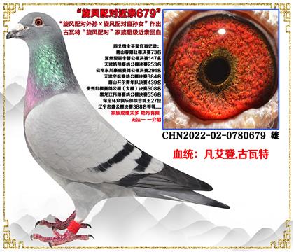 �����ء��������������������ֱ��Ů��������Ѫ