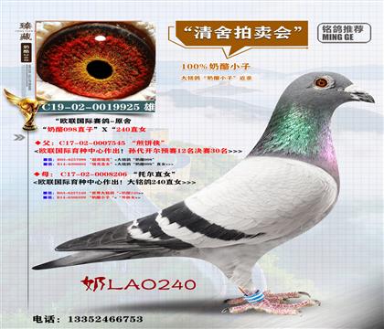 <�W(li��n)���H>240ֱŮx098ֱ��