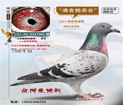 <�x�h�����ش��>������296��