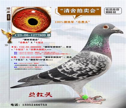 <����܊>����ԭ�ῂ���^����