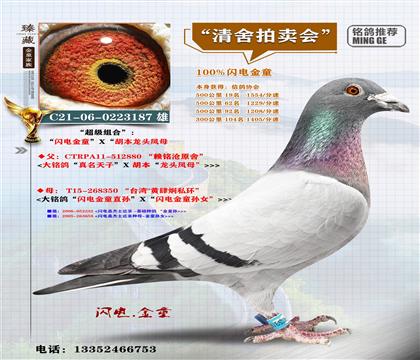 <ه㑜�>���^�Pĸ