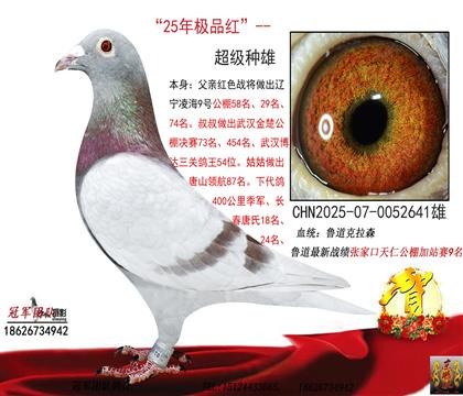 OƷt?sh)ۻѪֱ?һC(j)