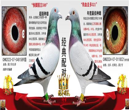 һһ]䌦(ni)l(f)]pѪѣ