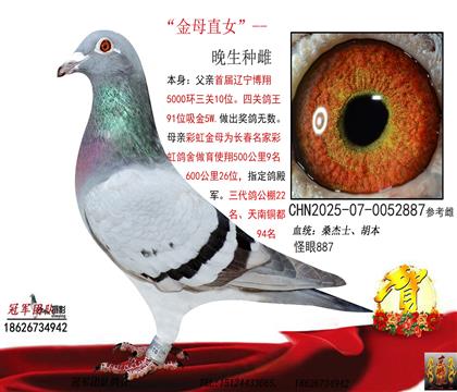 5000h(hun)P(gun)10ֱŮ]