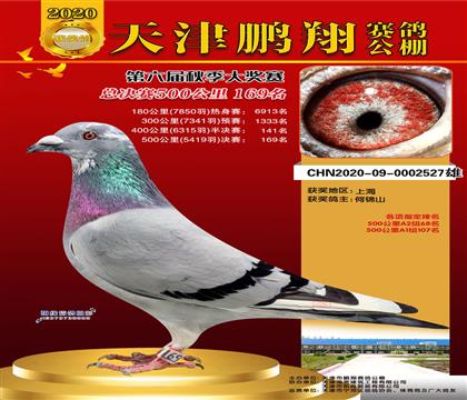 A(y)ِ141Qِ169