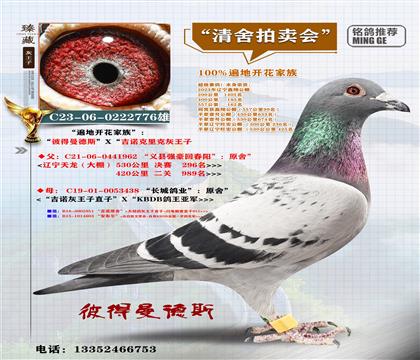 <����_������>�ش��X�L�����I(y��)