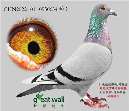 <�L�����I(y��)>����ԭ������