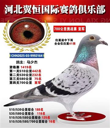 血戰(zhàn)到底秋季700公里全會(huì)僅歸巢41羽 2名