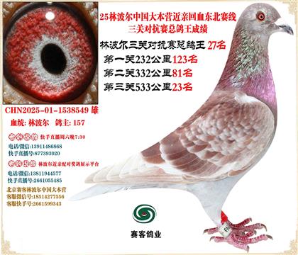 25ֲЇ󱾠IHѪ|ِP(gun)27