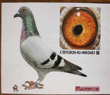 W(lin)098ֱOСӽHѪ263