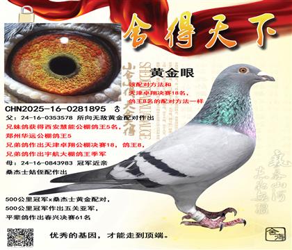 ���׿�蹫�����18���䷽