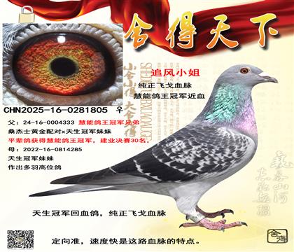 �����ھ���Ѫ