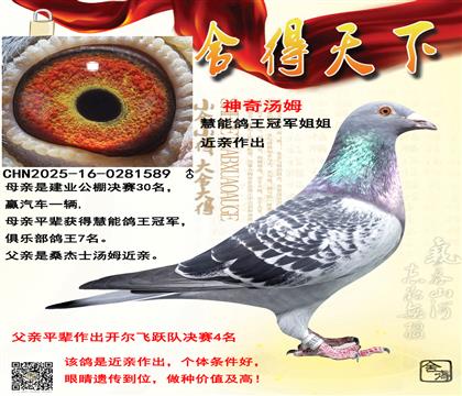 �������ܹ������ظ����ھ�����