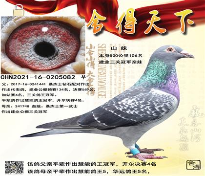 ��ҵ���ظ����ھ�����