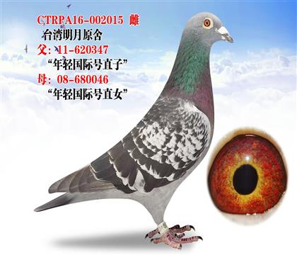 ؐ˹ p(gu)H̖(ho)HOŮ