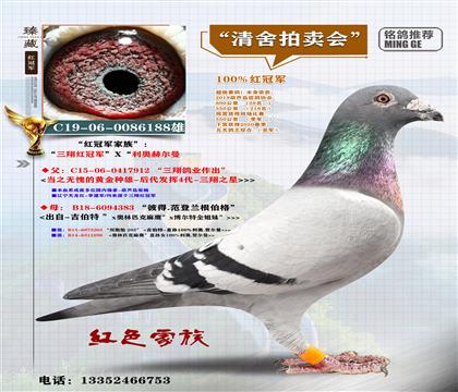 <����t��܊>�����λ����