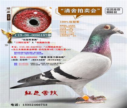 <����t��܊>�����λ����