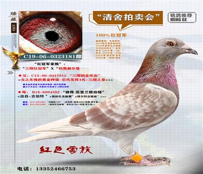 <����t��܊>�����λ����