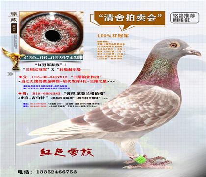 <����t��܊>�����λ����ƽ݅