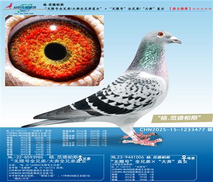 o̖ȫֵ/ȫֱֵŮo̖ȫֵ/󱼡