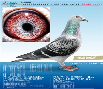 o̖ȫֵ/ȫֱֵŮo̖ȫֵ/󱼡