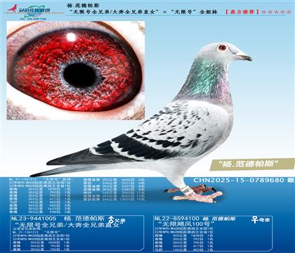 o̖ȫֵ/ȫֱֵŮo̖ȫ