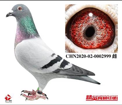 W(lin)ϯ.˹-СֱŮ999