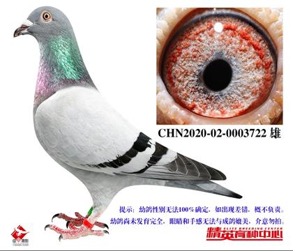 W(lin)׵ϣ֮HѪ722