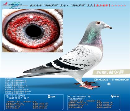 ہաu݆_ֱӡu݆_ֱŮ